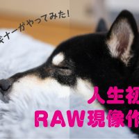 日記：写真ビギナーがやってみた！人生初のRAW現像作業