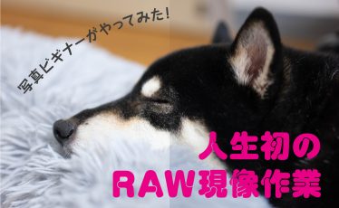 日記：写真ビギナーがやってみた！人生初のRAW現像作業