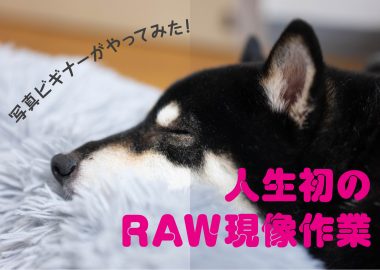 日記：写真ビギナーがやってみた！人生初のRAW現像作業