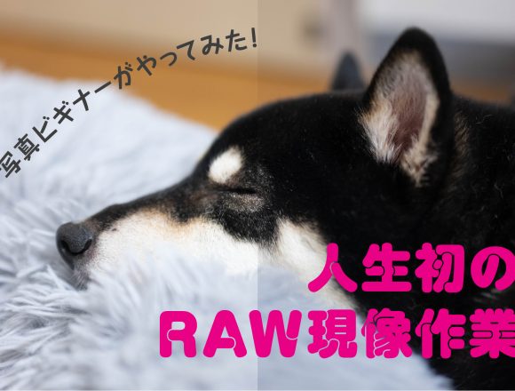 日記：写真ビギナーがやってみた！人生初のRAW現像作業